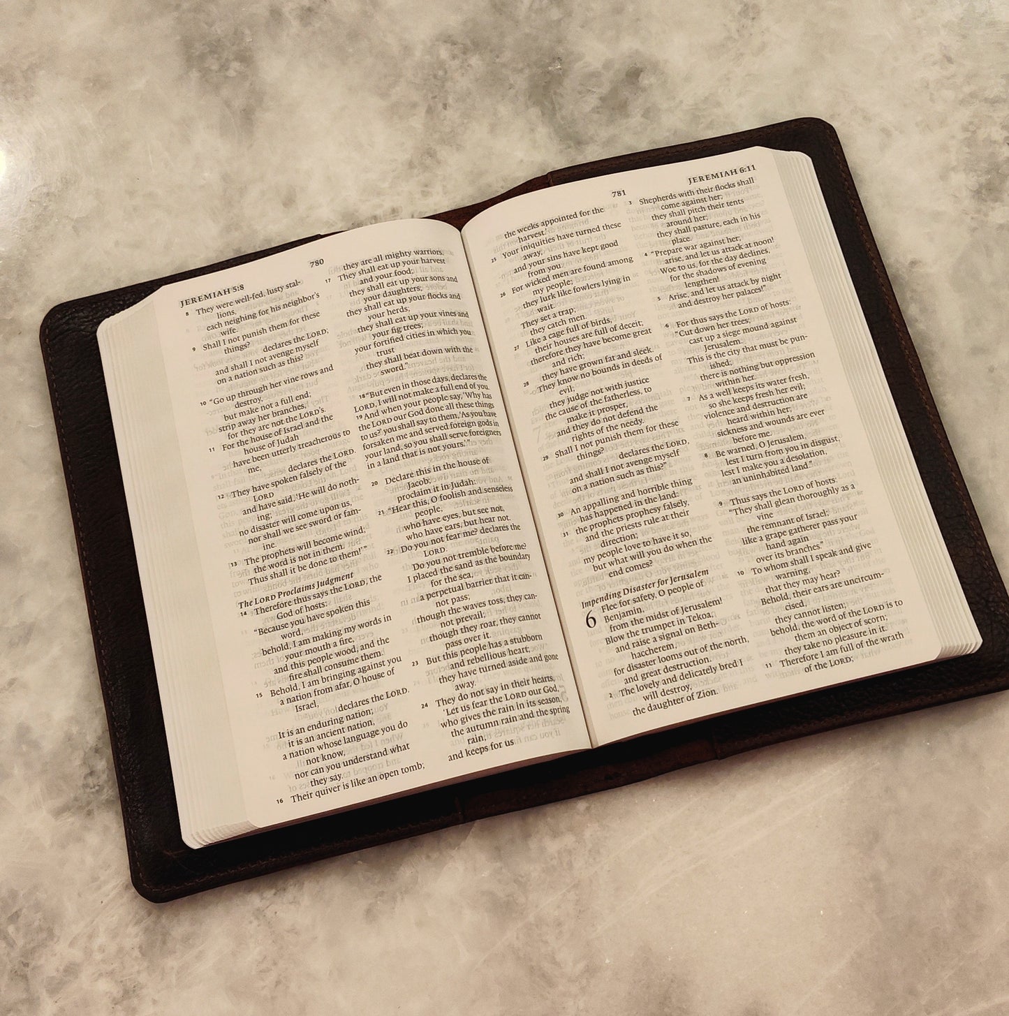 Bible with Dark Brown Cover