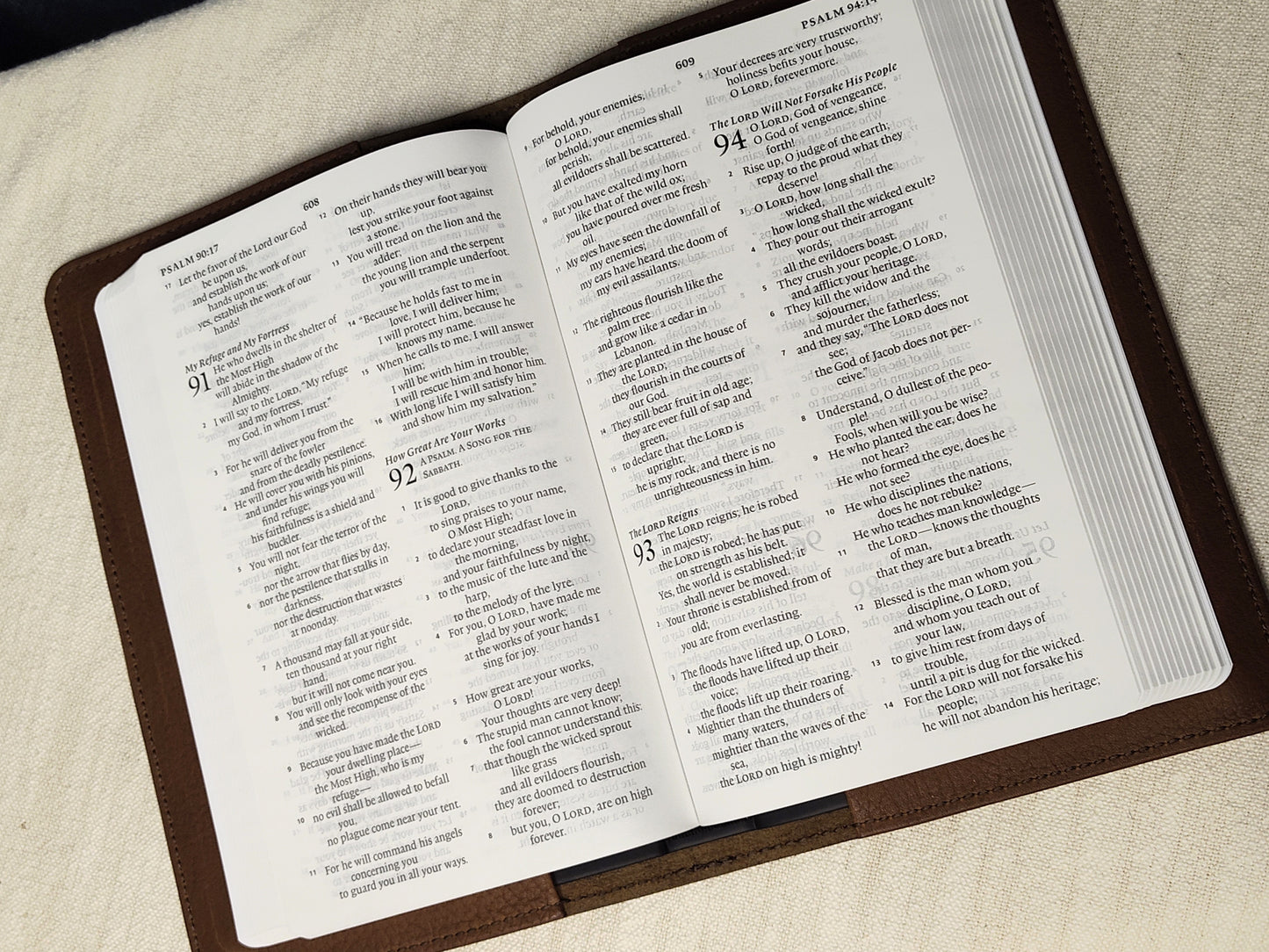 Bible with Tan Leather Cover